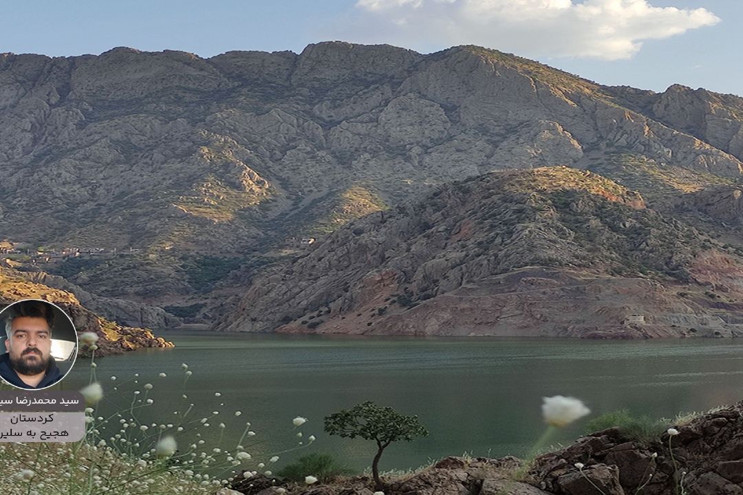 پویش ایران زیبای من "محمدرضا سیدی"