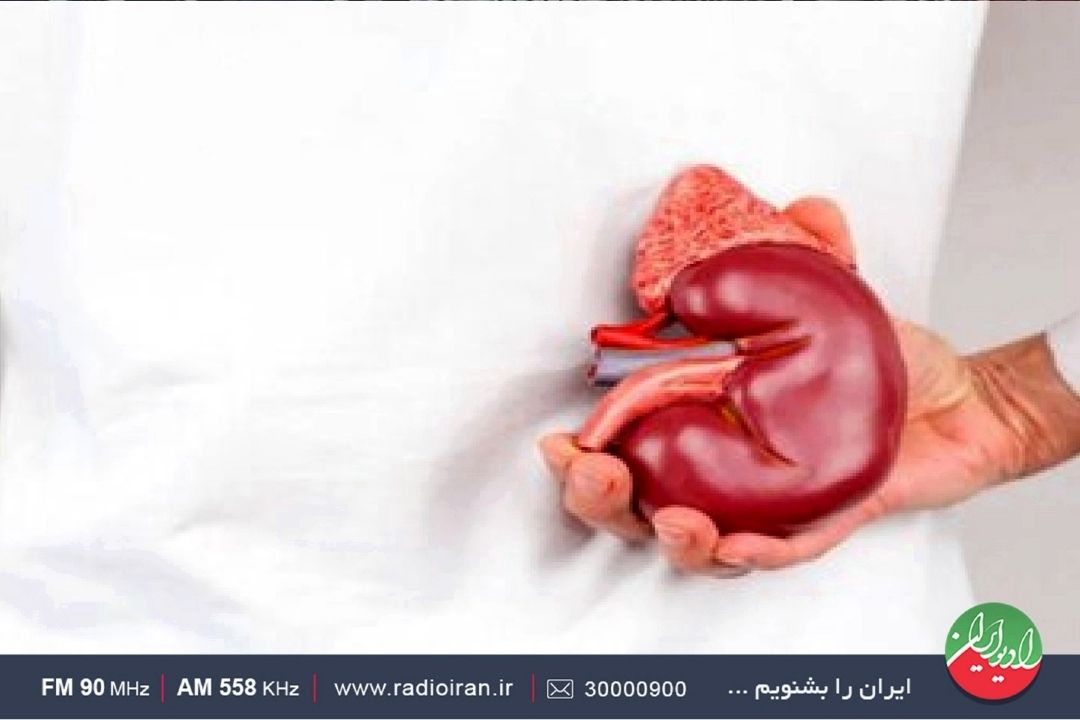 روز حمایت از بیماران كلیوی در «خانه و خانواده» 