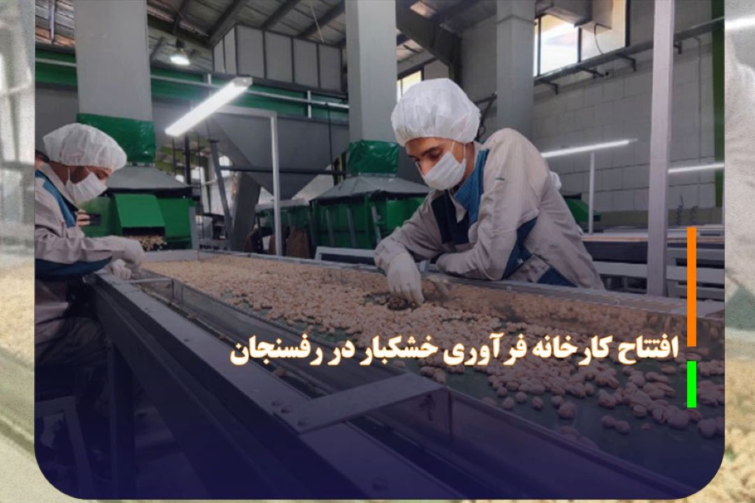 افتتاح كارخانه فرآوری خشكبار در رفسنجان با حضور اسلامی