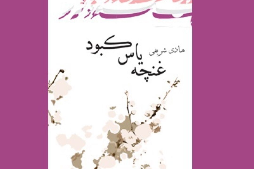 غنچه یاس كبود