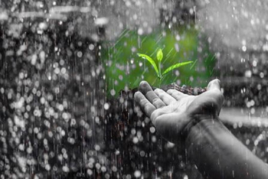 بررسی فیلم های آخر زمان هالیوودی