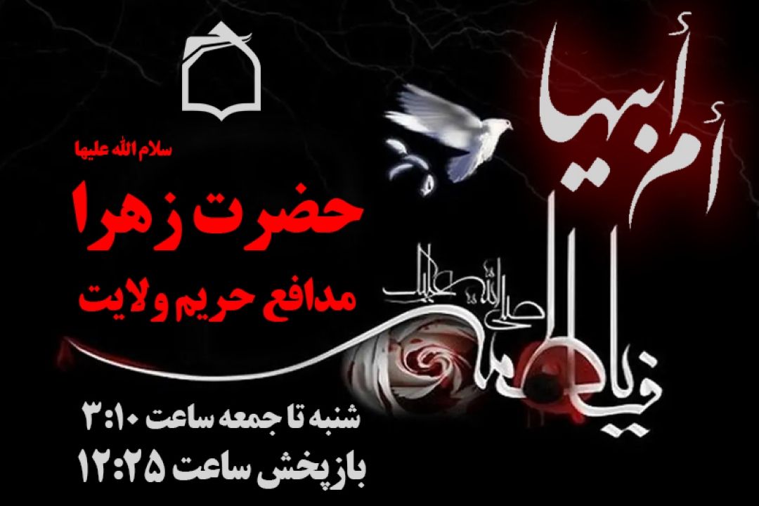 چه كسی از ولایت امیرالمومنین دفاع كرد؟
