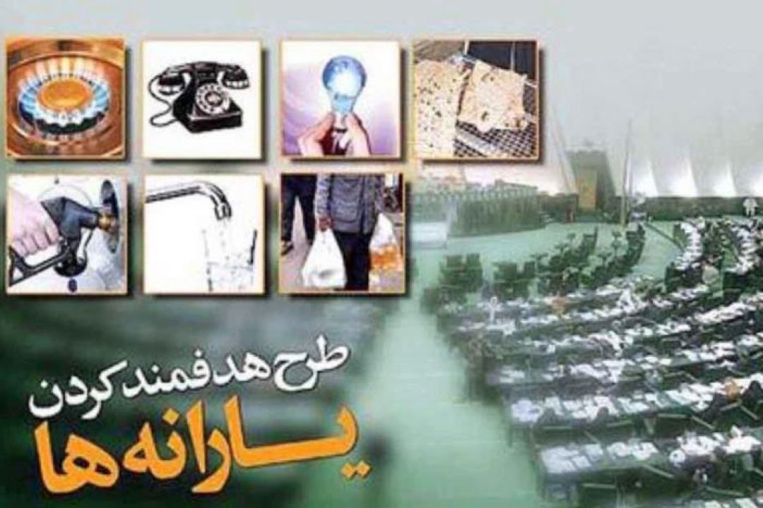 هدفمندی یارانه ها به غلط  اجرا شد 
