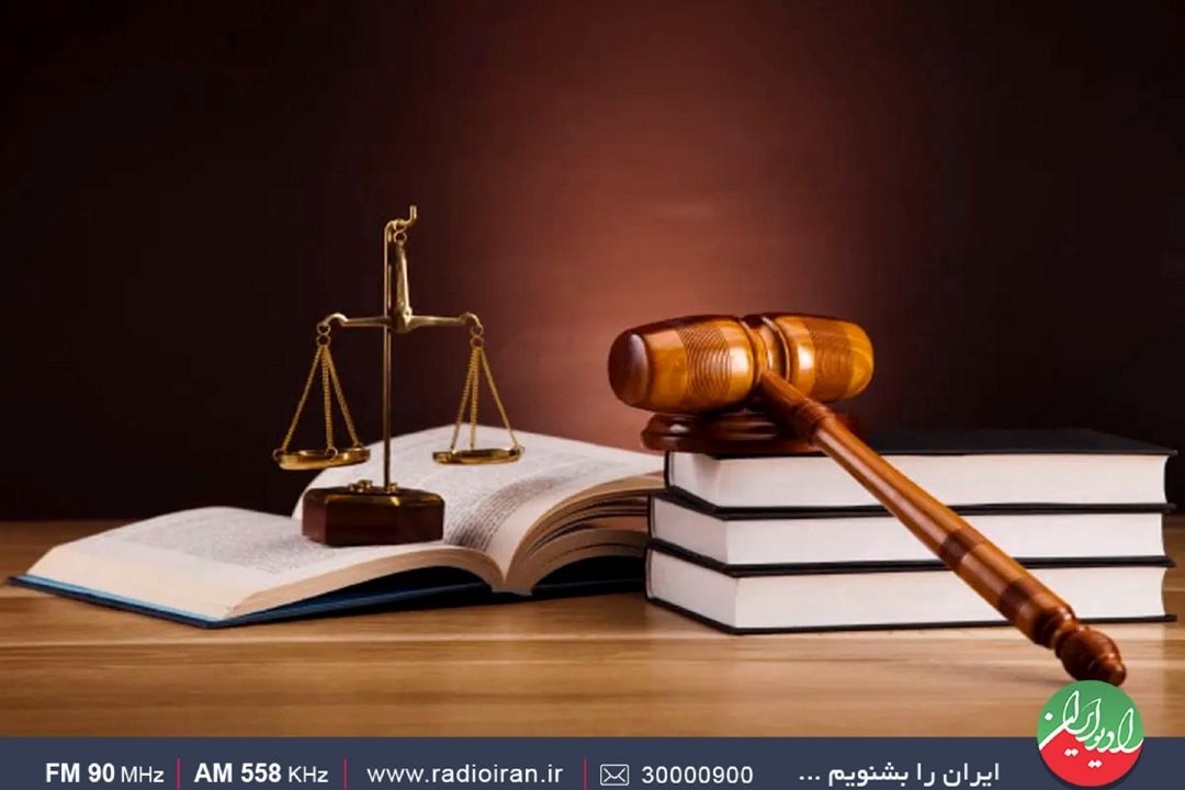 سرپیچی موجودات از قانون‌هایی مثل وام و یارانه