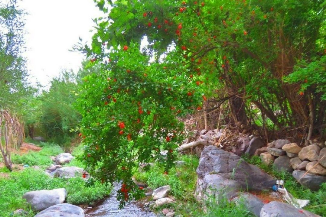 روستادوستا به سیستان و بلوچستان رسید