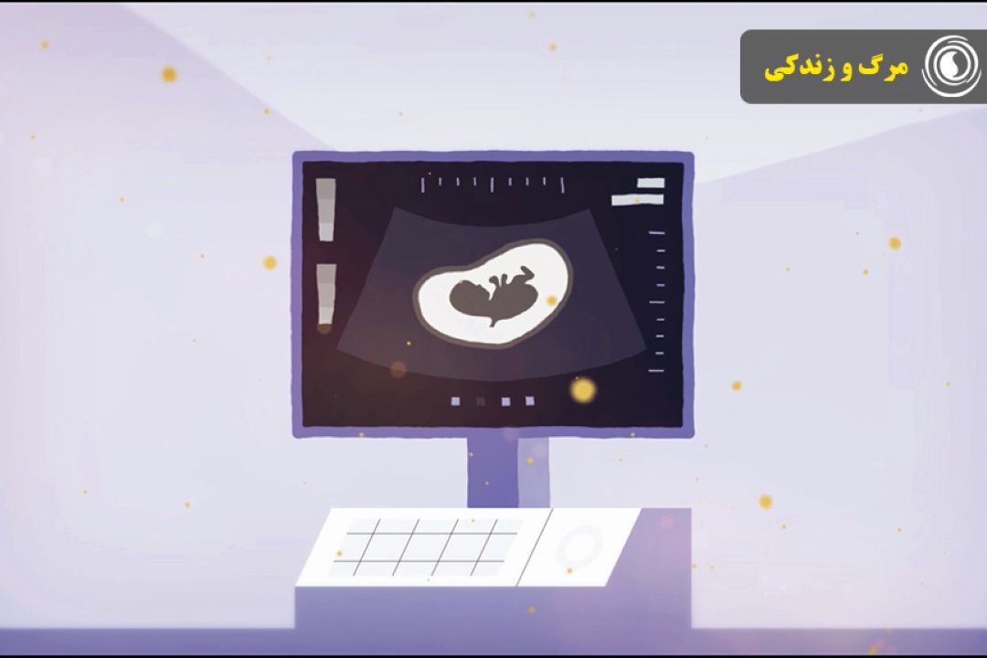 مرگ و زندگی