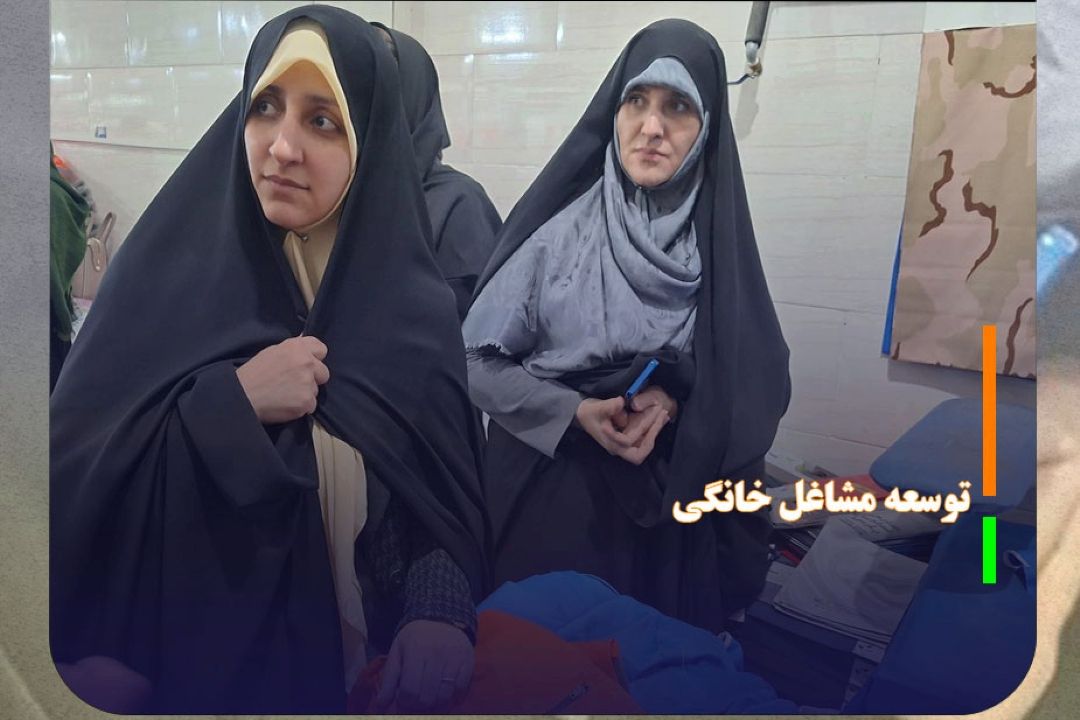 توسعه مشاغل خانگی، راهبرد دولت برای حمایت از زنان سرپرست خانوار