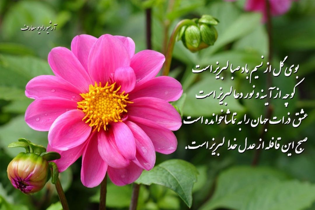 بوی گل از نسیم باد صبا لبریزست
