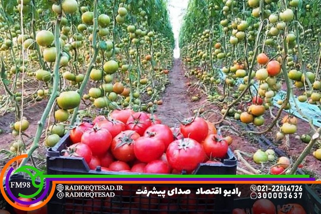  فاصله بسیار زیاد قیمت محصولات كشاورزی از مزرعه تا سفره مردم