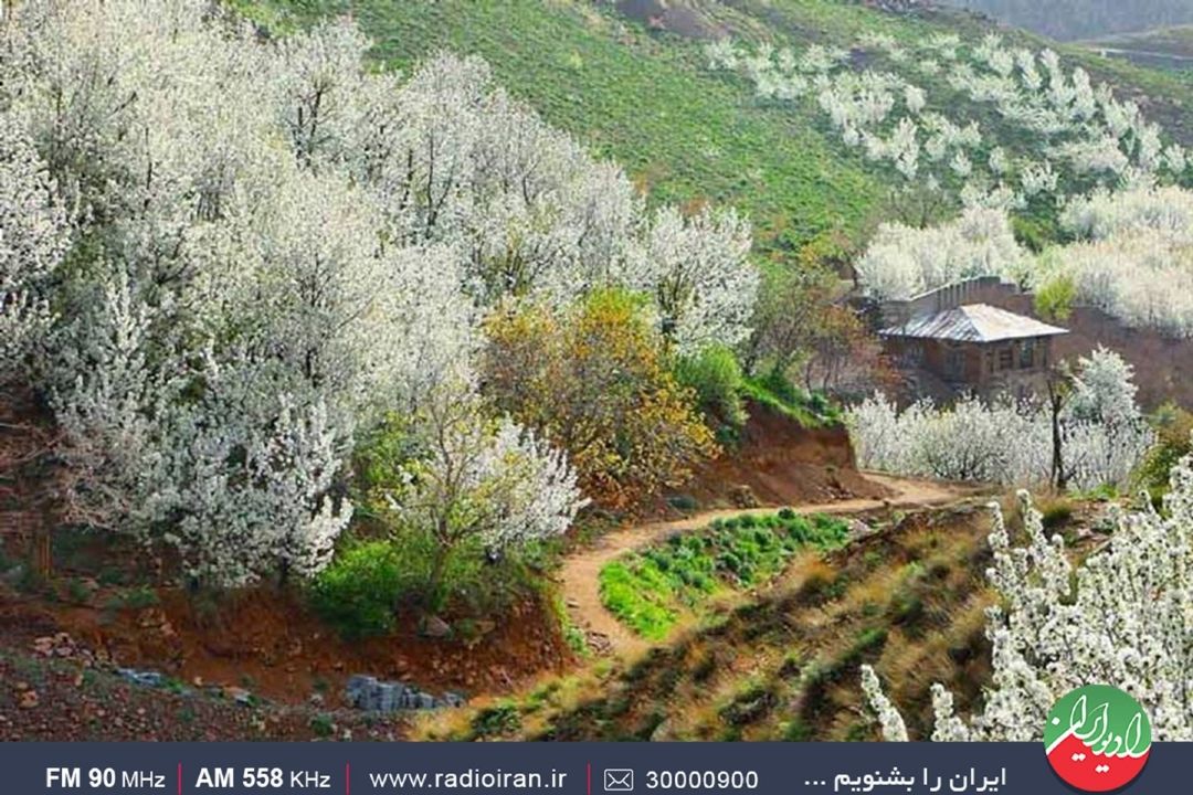 سفر باغ‌هنر به منطقه‌كن سولقان تهران