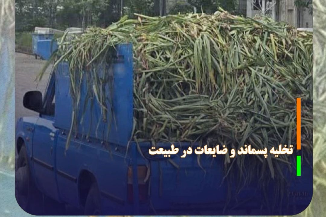 تخلیه پسماند و ضایعات در طبیعت ممنوع است