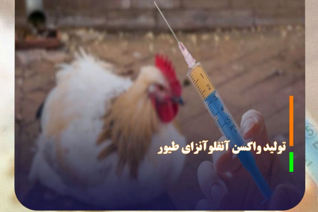 پژوهشگران كشورمان موفق به تولید واكسن آنفلوآنزای طیور شدند