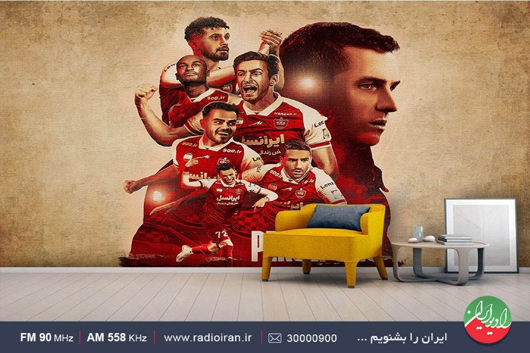 واگذاری باشگاه‌ها به بخش‌خصوصی عجولانه بود