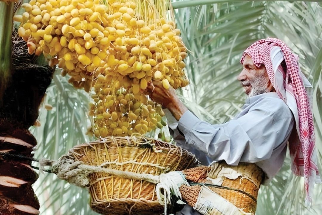 هفته های ایرانی روی خط رادیو سلامت  