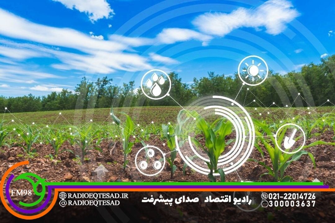 گام‌‌های موفقیت‌آمیز فناوری هسته‌ای در بخش كشاورزی 