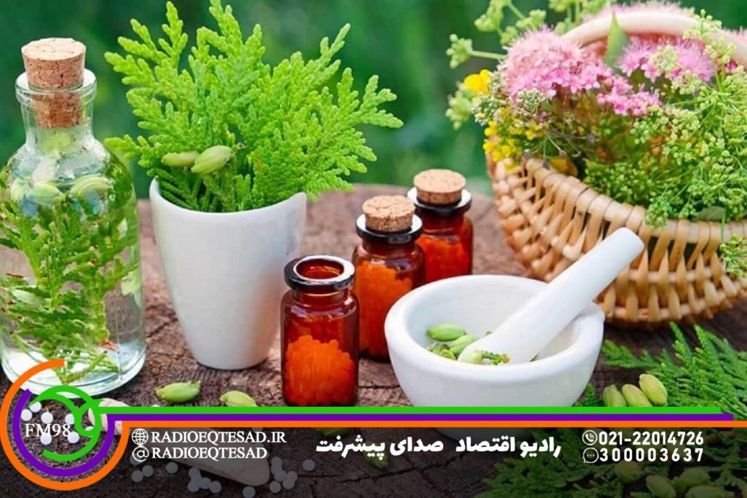 80 درصد مردم جهان برای درمان به داروهای گیاهی رجوع می‌كنند