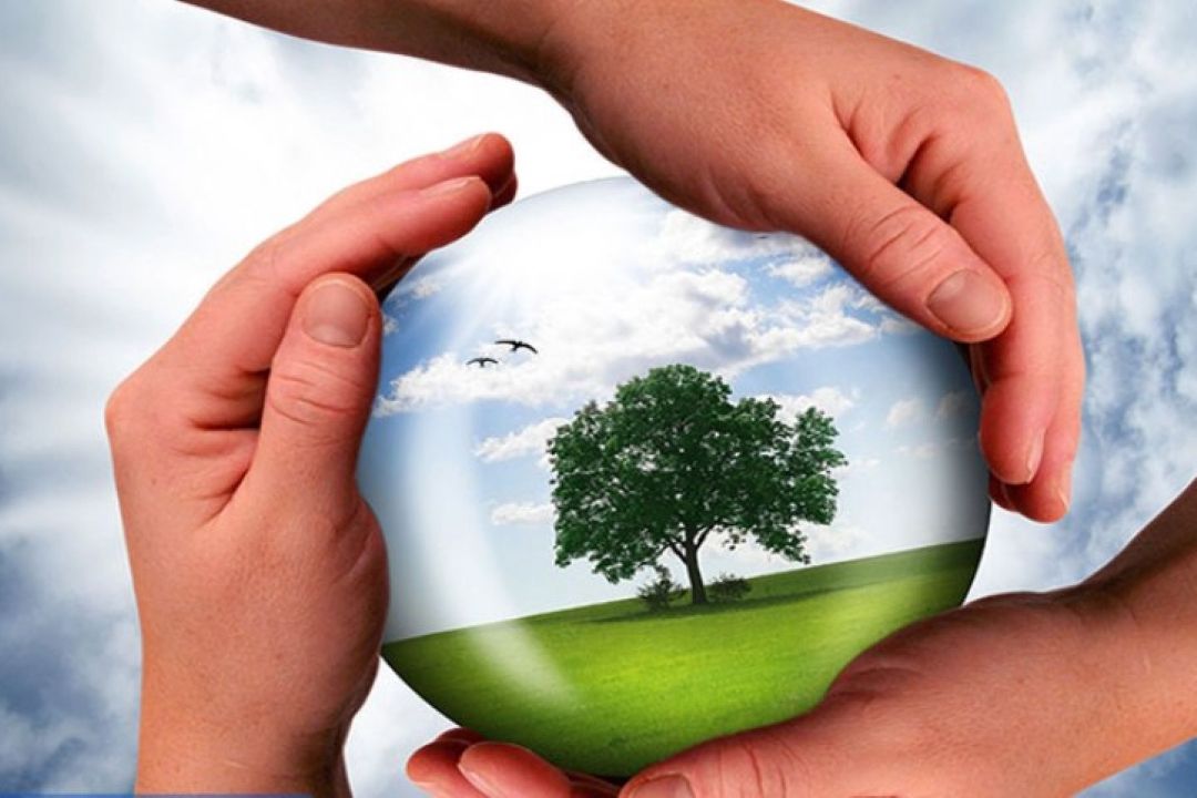 كارهای ساده اما مهم برای حفظ محیط زیست 