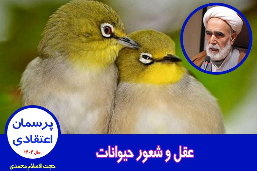 عقل و شعور حیوانات
