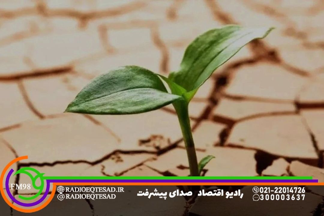معنا بخشی به زندگی و همدلی، كلید عبور از بحران است