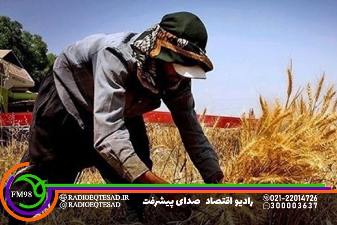 كلیدهای طلایی در رونق اقتصاد روستایی