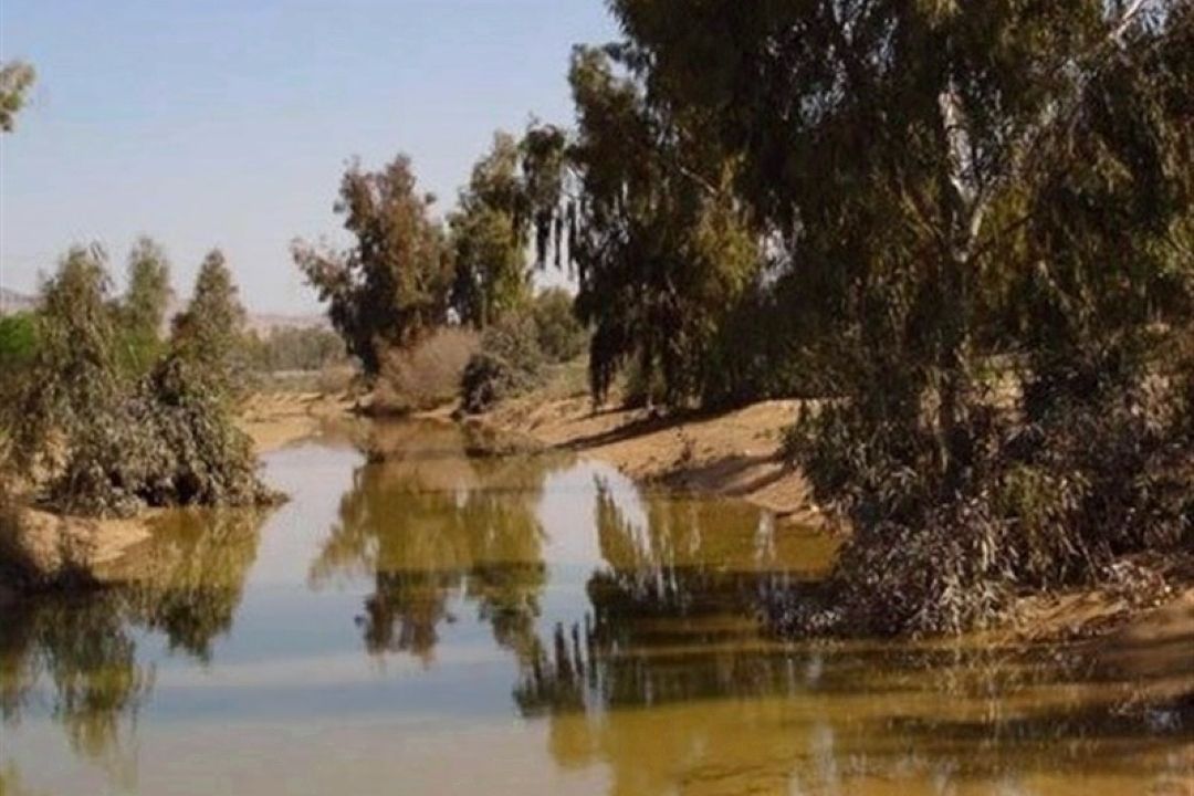 هشدار درباره سال آبی ‌سخت؛ اهمیت جنگل‌ها و مراتع در امنیت منابع آب 