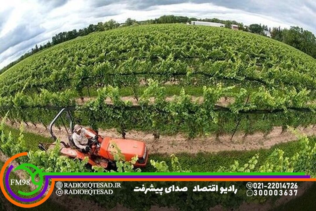 ضرورت بازنگری در الگوی كشت با توجه به تغییر اقلیم