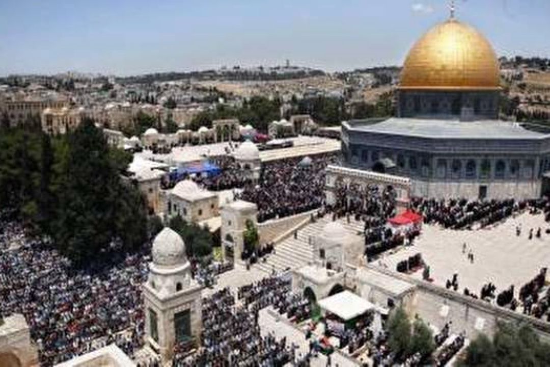 راه حل مسئله فلسطین، مقاومت است 