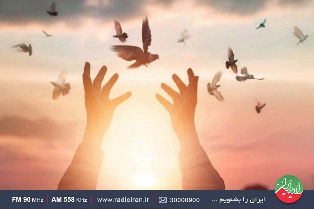 نگاهی نو به مفهوم بخشش در
