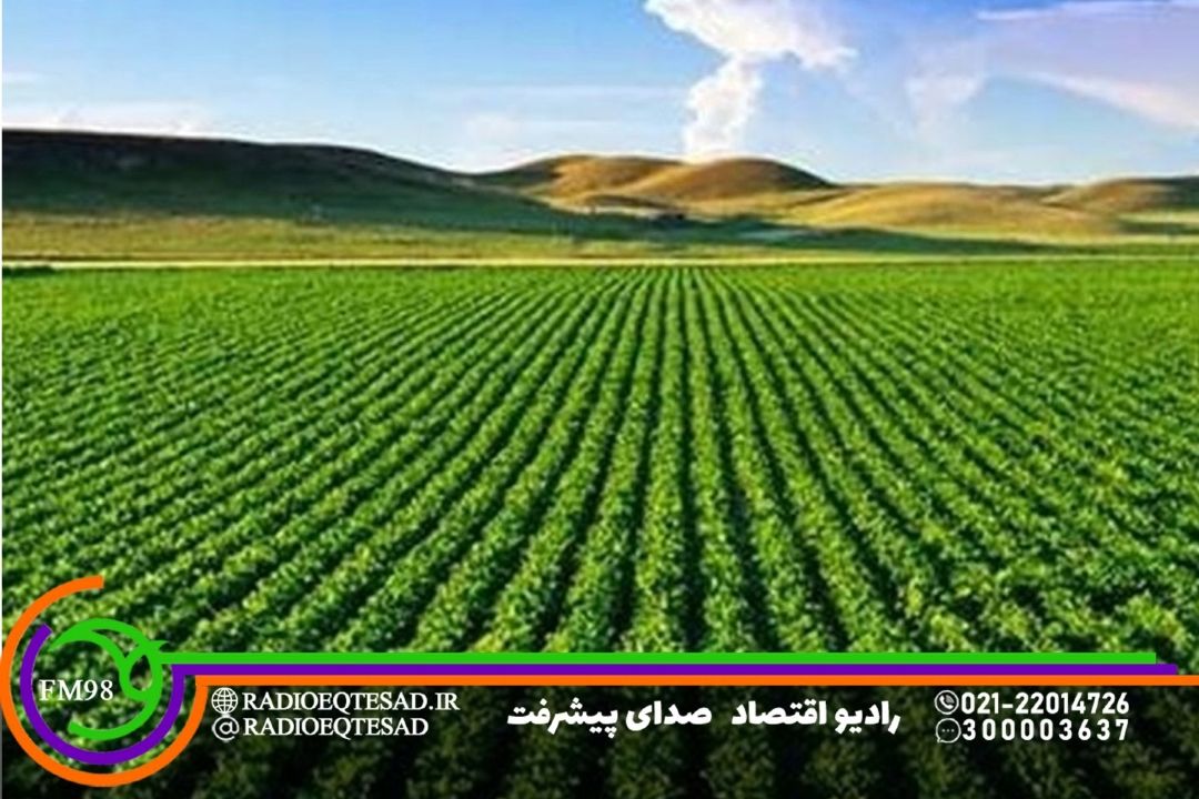 ماندگاری محصولات باغبانی با پرتودهی افزایش می‌یابد