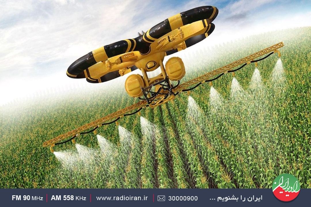 كمتر پنجاه درصد از آب در اختیار بخش كشاورزی است