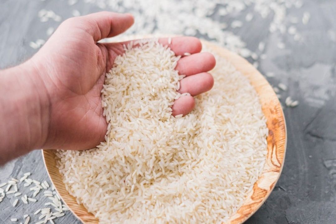 كاهش متوالی برآورد تولید برنج در سال جاری