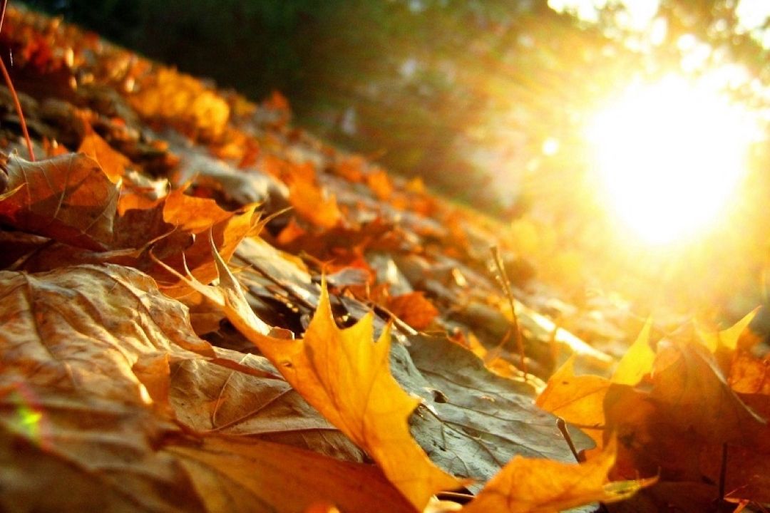 پیش‌بینی دمای بالاتر از نرمال و بارش كمتر برای پاییز امسال