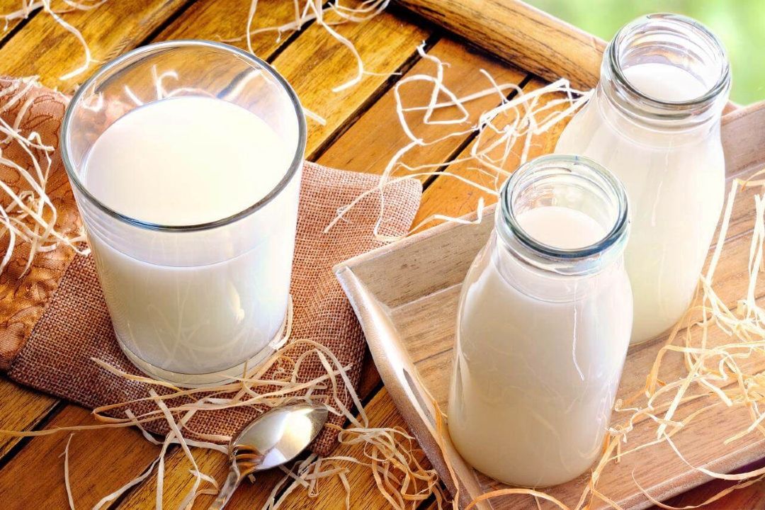 لبنیات دوستی دیرینه یا دشمن پنهان! 