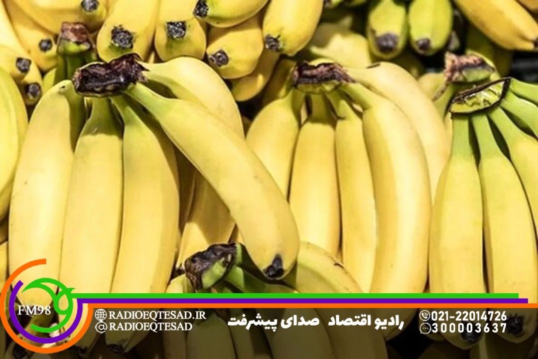 افزایش درآمد ارزی بخش باغبانی ایران در دولت چهاردهم