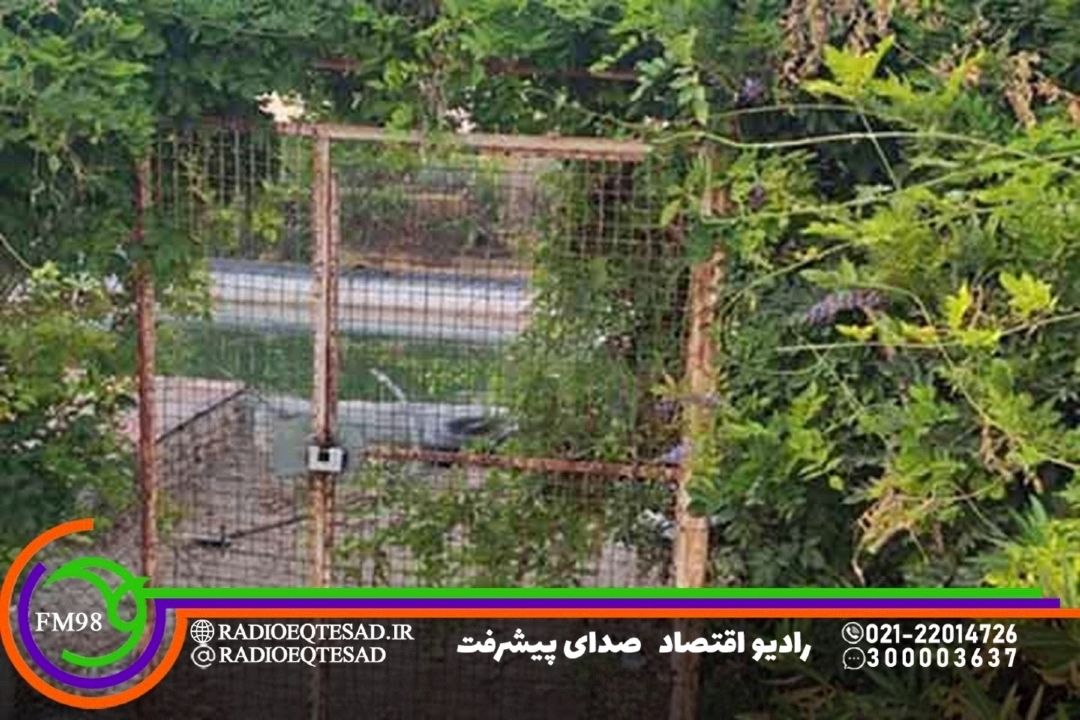 حادثه بوستان منطقه 21 به روایت كارشناسان ایمنی 