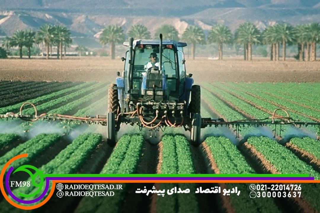  الگوی كشت هنوز از حرف به عمل تبدیل نشده است