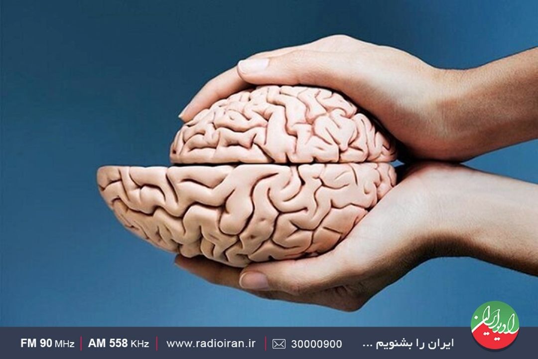 مغز تا پایان عمر توانایی تغییر دارد