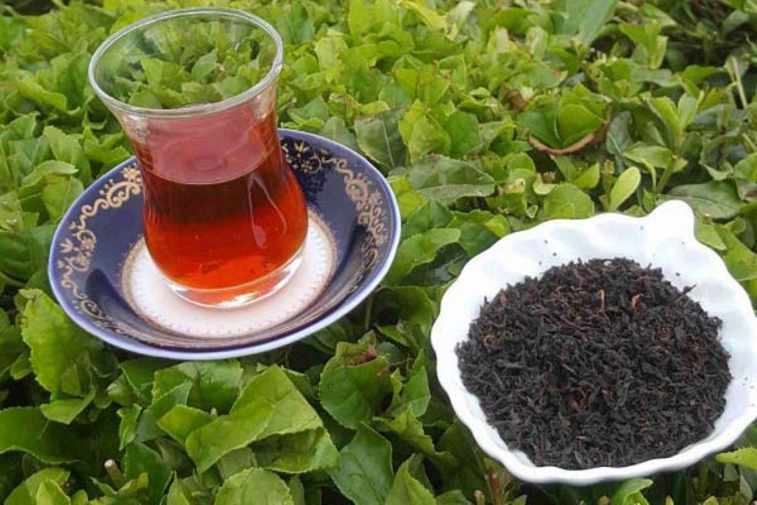 ماجراهای بقالی اسكندر خان