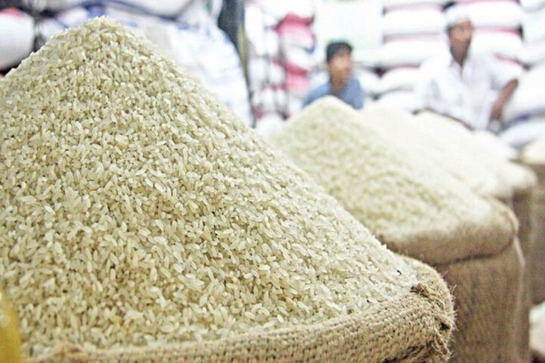  دولت رقیبِ برنجِ ایرانی را از بازار حذف كرد