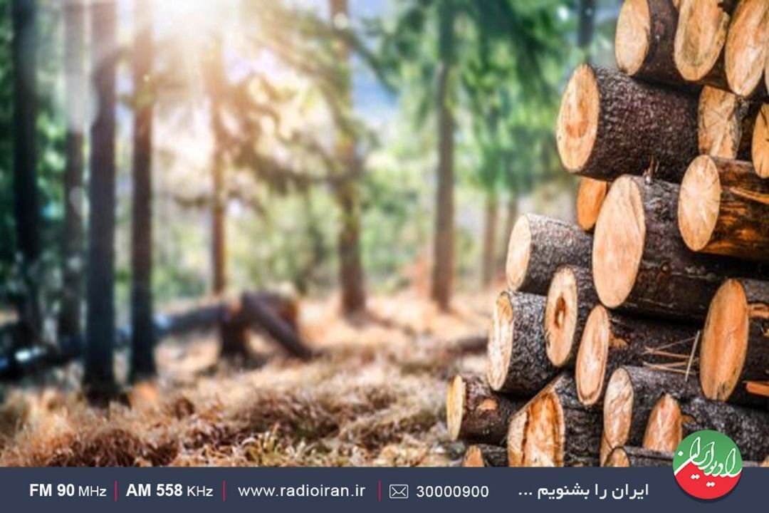 یك ماه مهلت برای پاسخ به استعلامات 