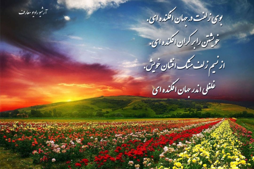  بوی زلفت در جهان افكنده ای