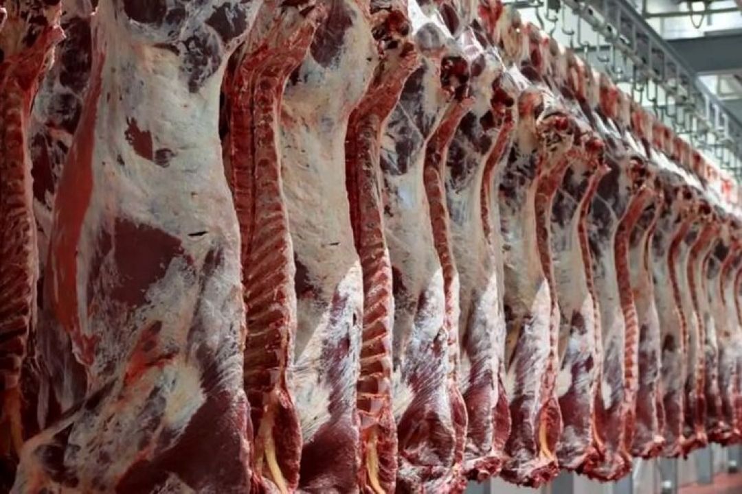 قیمت گوشت؛ از سوبسید نهاده‌ها تا افزایش هزینه‌های تولید