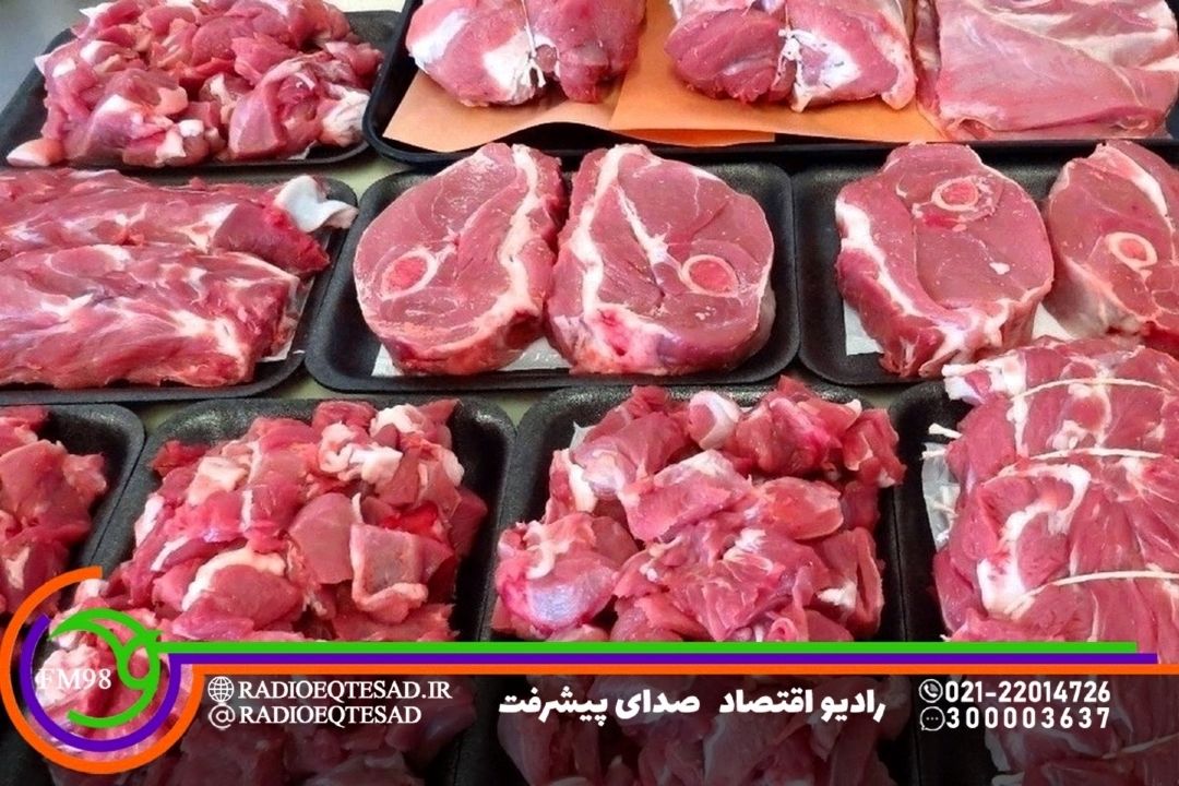  ورود و توزیع گوشت قرمز وارداتی در مسیر كاهش التهاب بازار