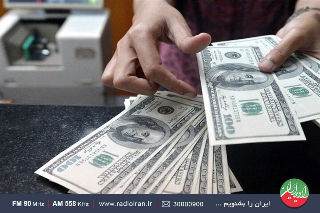 مخالف پیمان‌سپاری ارزی است
