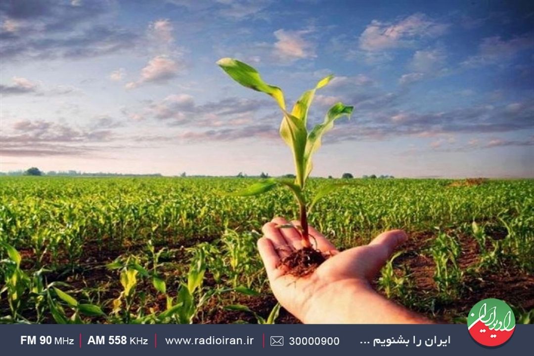 در پدافند‌زیستی؛ یكی از موارد انسان است