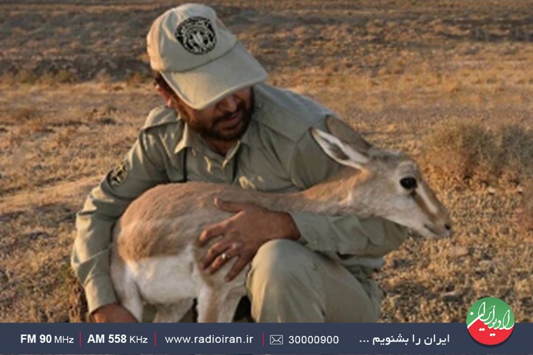 راهی به آبادی ویژه پاسداران سبز وطن