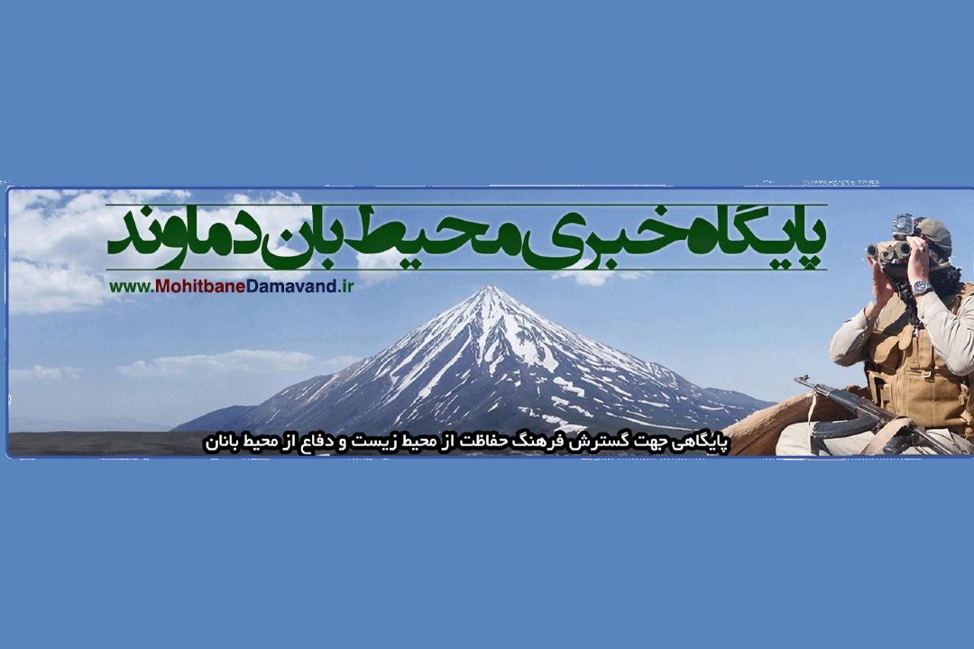 سازمان محیط زیست، وزارتخانه شود