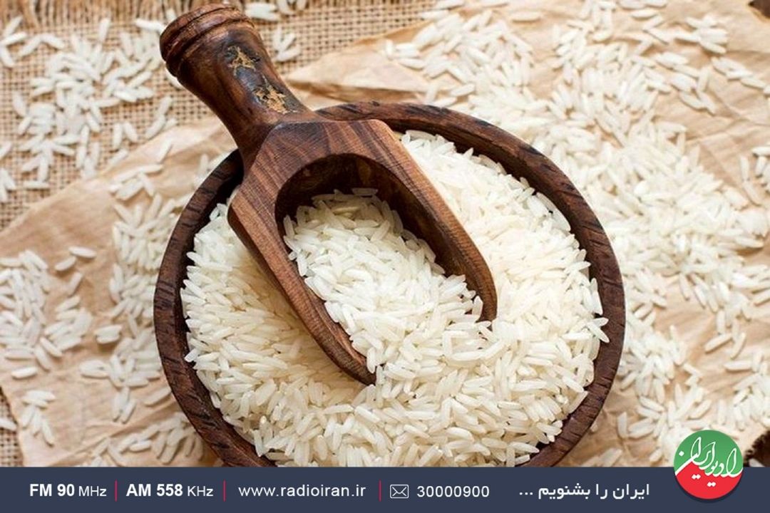 برنامه‌ریزی‌های اشتباه نرخ برنج را افزایش داده است