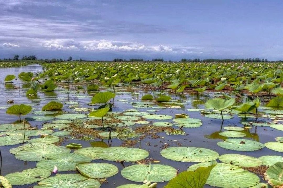 خشكسالی پایدار، تالاب‌ها را به كانون گرد و غبار تبدیل كرده است