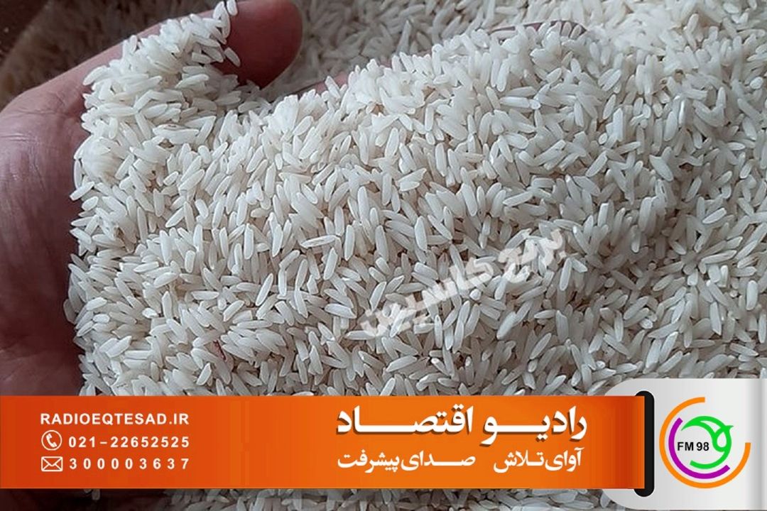 تامین 60 درصد نیاز برنج كشور در داخل/ واردات برنج پاكستانی ممنوعیت قیمتی شد